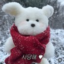 팟타이키친 이미지