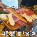 연탄생갈비세종소담점