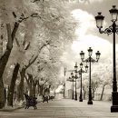 대포초등학교 이미지