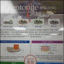 구피염색방