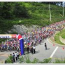 대관령초등학교 이미지