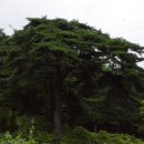 문방2리마을회관 이미지