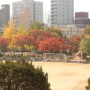 서울불광초등학교 이미지