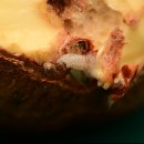 담을건축사사무소 | 2026경회루·향원정특별관람 / 상가깜깜이관리비사라진다..세부내역공개의무화 / 궁궐옛그림‘동궐도...