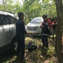 국유림관리사무소 이미지