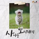 뽀시래기 이미지