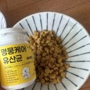 헬로펫 | 다이소입점 신제품 강아지유산균 헬로마이펫! 뽀숑맘의 솔직한 급여 후기