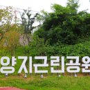 한마음라이프