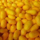 태양농장 이미지