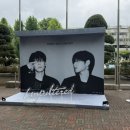 행복한찜닭송파 | 웓필 솔로 콘서트 Unpiltered 언필터드 막콘 후기