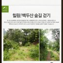 승마랜드 이미지