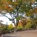 행주산정 이미지