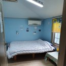 여울목 게스트하우스 | Jeju6D, 바다를 앞에 둔 제주 돌담집 여울목 게스트하우스, 아늑한 분위기와 마당에 고양이가 가득가득
