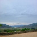 원조남해식당 이미지