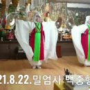 솔숲길 이미지