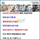 지연태양광발전소 이미지