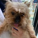 난곡동주민센터 이미지