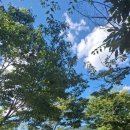 자연밸리 관광농원 이미지