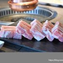 거북이동네부산 - 부산진구 동천로 61 | 거북이동네부산
