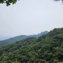 여백 티스토리