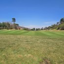 어린이날 특별운영 <오, 오 상상그이상> | 이븐데일cc 2인 조인 라운드 진짜 후기 (이븐데일 가시는 분들 필독..)