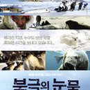 뮤지컬의 밤<하이스쿨 뮤지컬3> 이미지