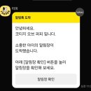 코티지 오브 퍼피(cottage of puppy) | 청주 애견미용 운천동 애견미용 코티지오브퍼피
