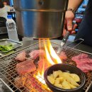 전지적 돼지시점 | 전참시, 전지적 참견 시점 제주 최홍만님 단골 제주도 흑돼지 찐 맛집 도갈비