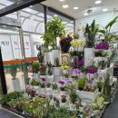 리치마트약국 이미지