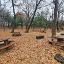 연세대학교 유진어린이집