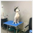 허숙희네 이미지