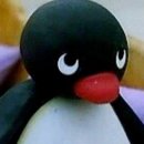 9월 1일 요크신 시티에서!!
