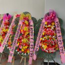 대한민국월남전참전자회제주특별자치도지부 이미지