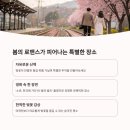 진해대로 이미지