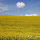 학자농장 이미지