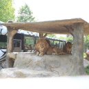 대전오월드 이미지