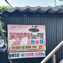 꽃무지 노래연습장 이미지