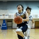 용인대스타체육관 이미지