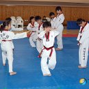 화랑태권도체육관(태권) 이미지