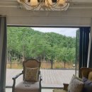 블랙트리하우스 이미지