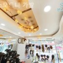 센스모드니 이미지