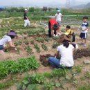 늘품농장 이미지