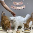 반곡중앙약국 이미지