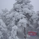 해미 오름산악회 2월정기산행 태백산 이미지