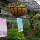 원평농장 이미지