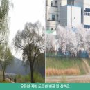 하천(유등천3) 이미지