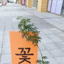 륜플레르