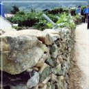 돌담과 초록 이미지