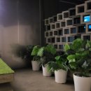 경주 스테이 스텐빌 이미지