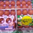 장락식품